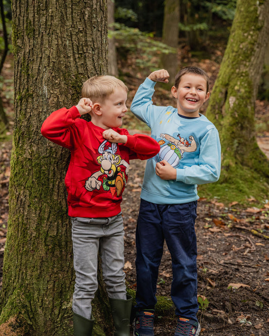 Detailansicht von koaa – Ásterix Allez – Sweatshirt red