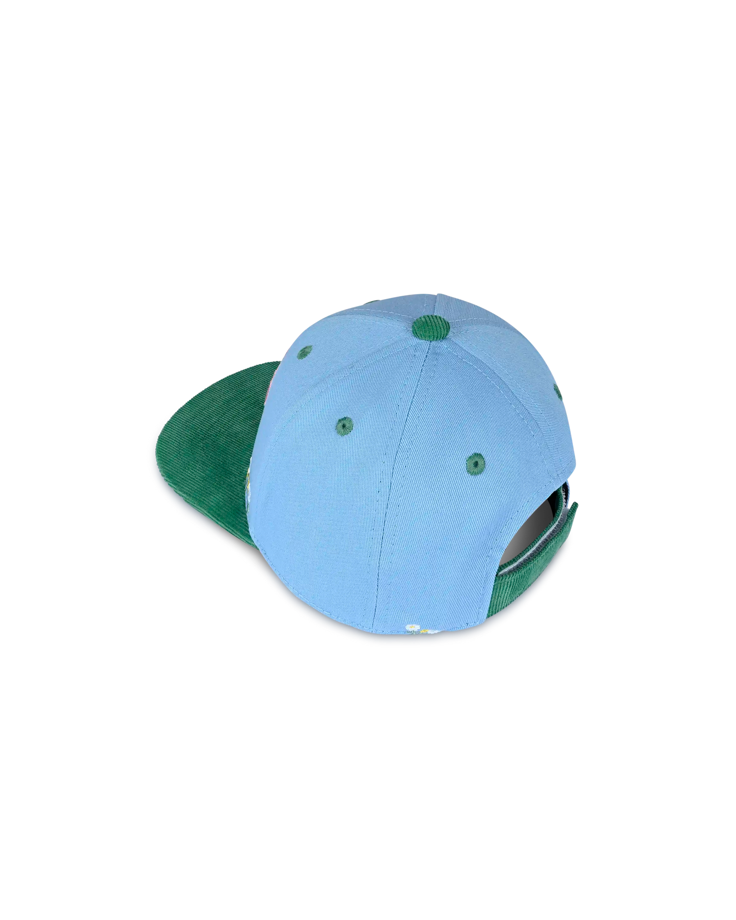 koaa – Peppa Pig "Springtime" – Snapback blue/green